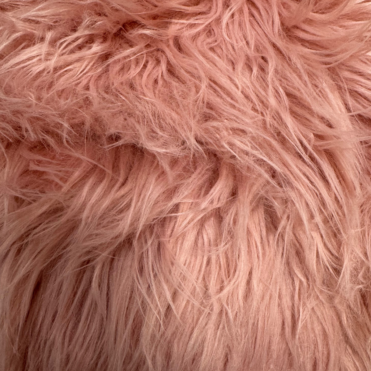 302 Rosa