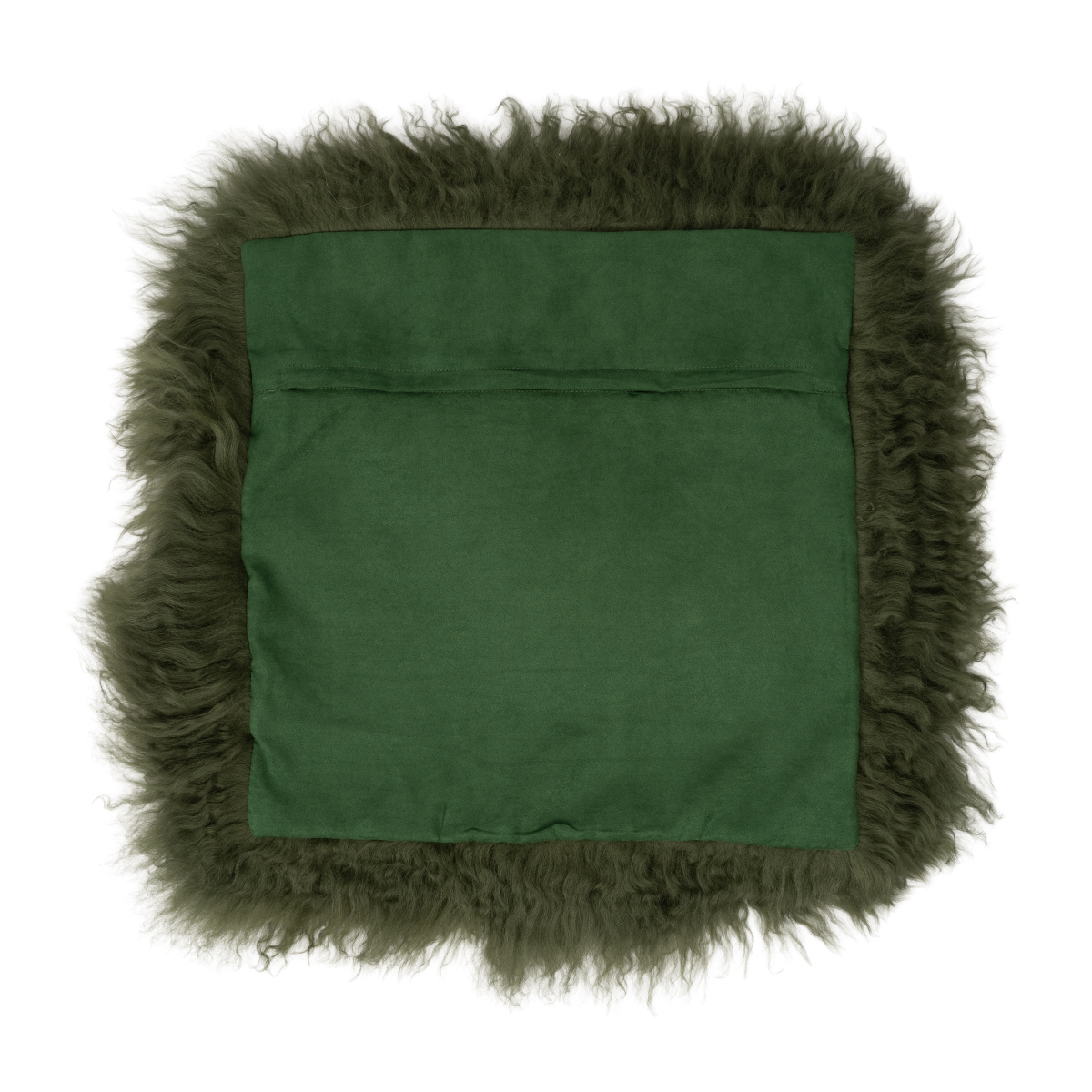 18 Olive