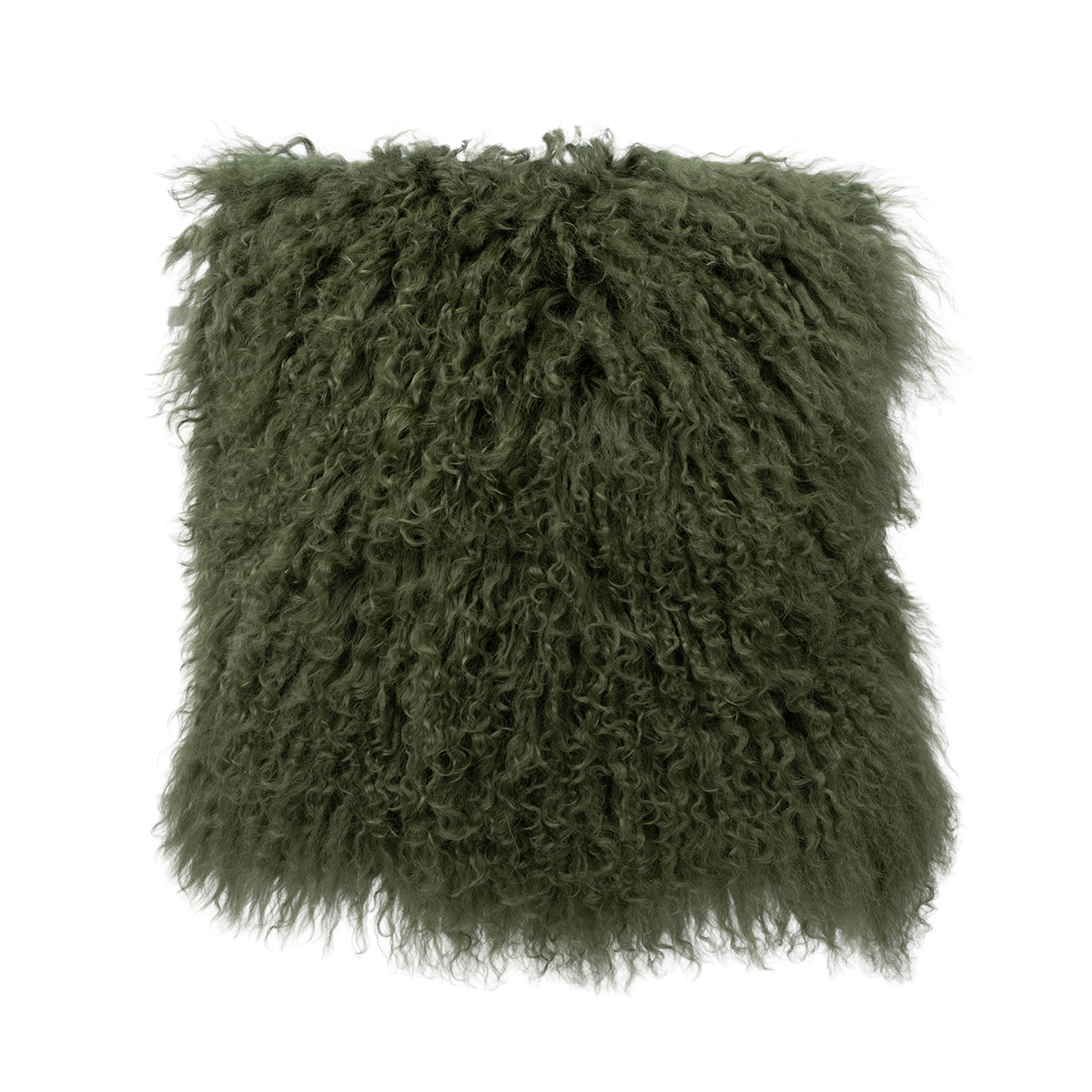 18 Olive