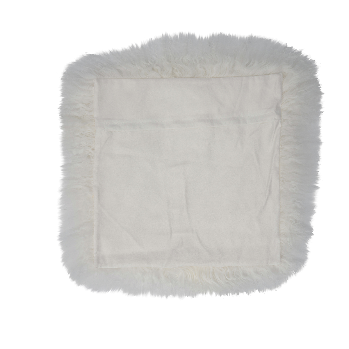 01 White