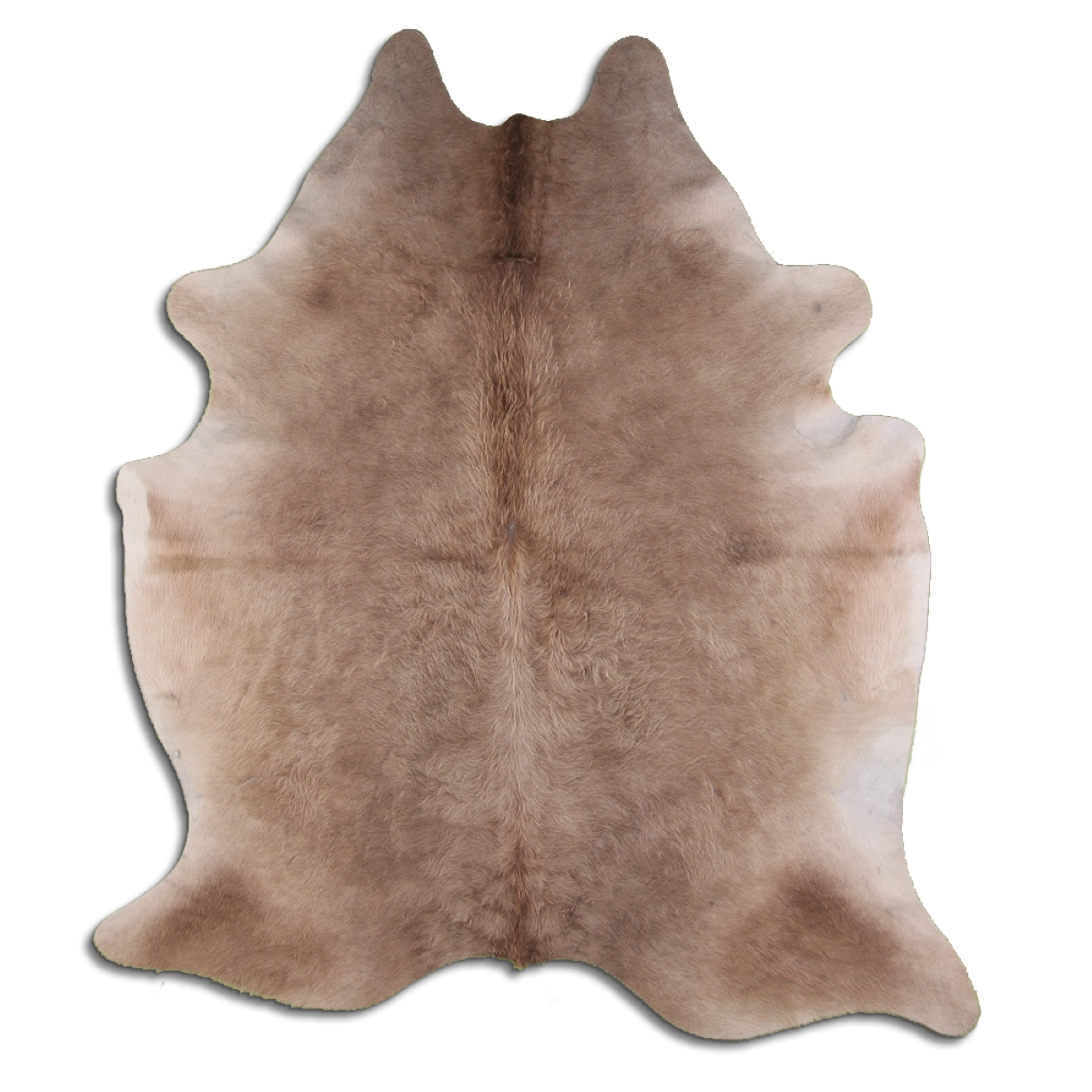 Champagne (Dark) Cowhide