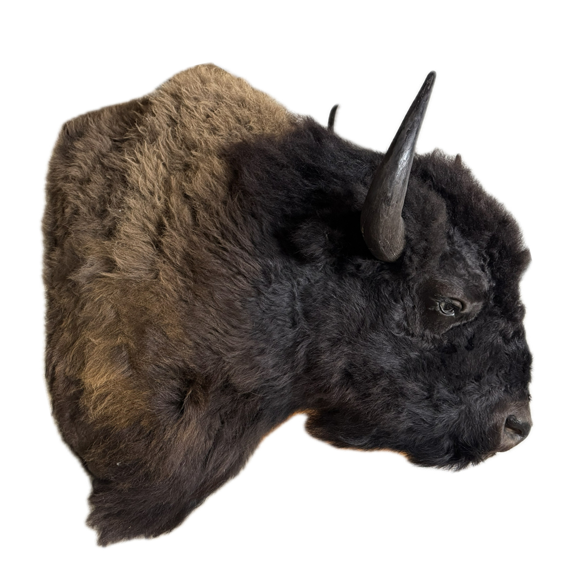 Buffalo XXL Shoulder Mount