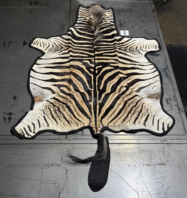 Zebra Hides