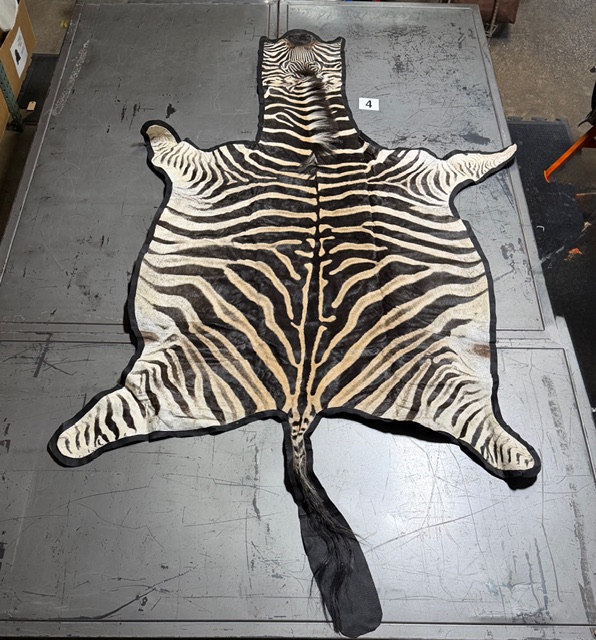 Zebra Hides