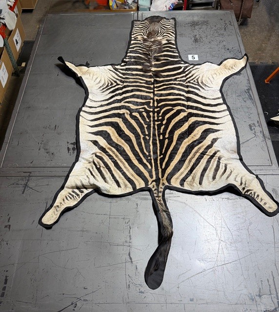 Zebra Hides