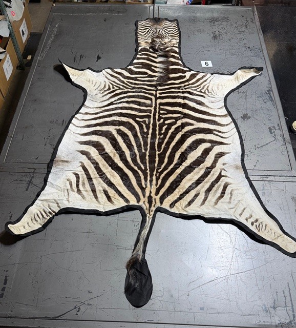 Zebra Hides