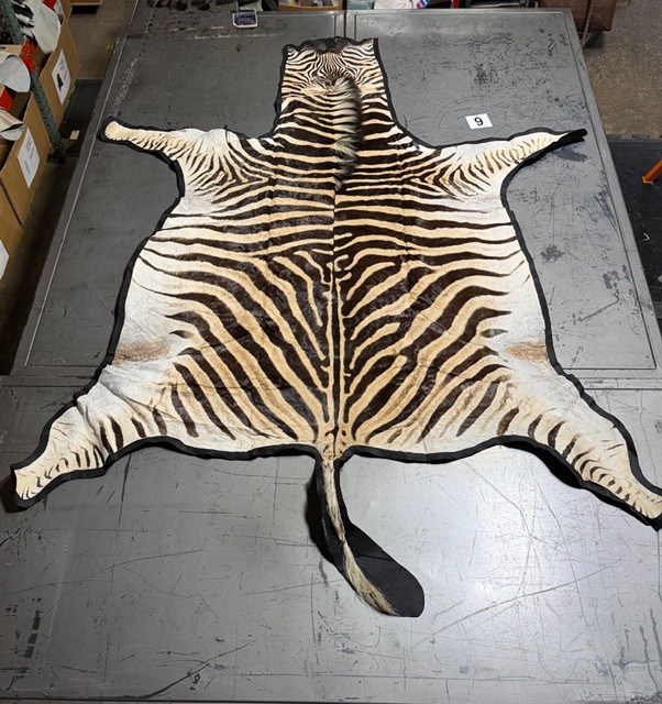 Zebra Hides