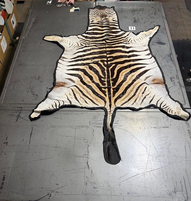 Zebra Hides