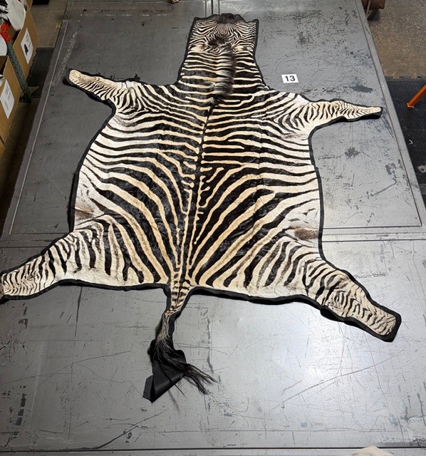 Zebra Hides