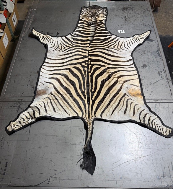 Zebra Hides