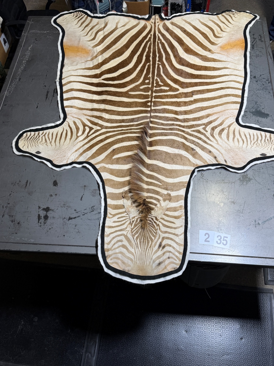 Zebra Hides